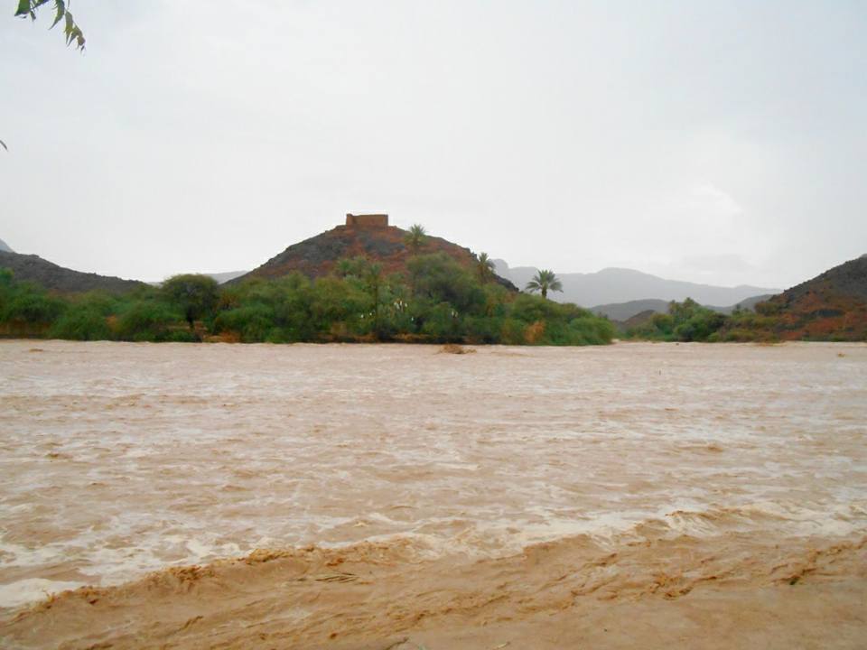 38799139_1888356321186797_1975473313056555008_n